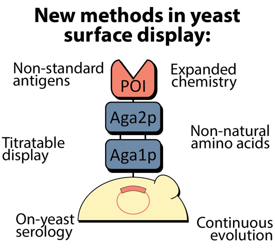 Nash Lab